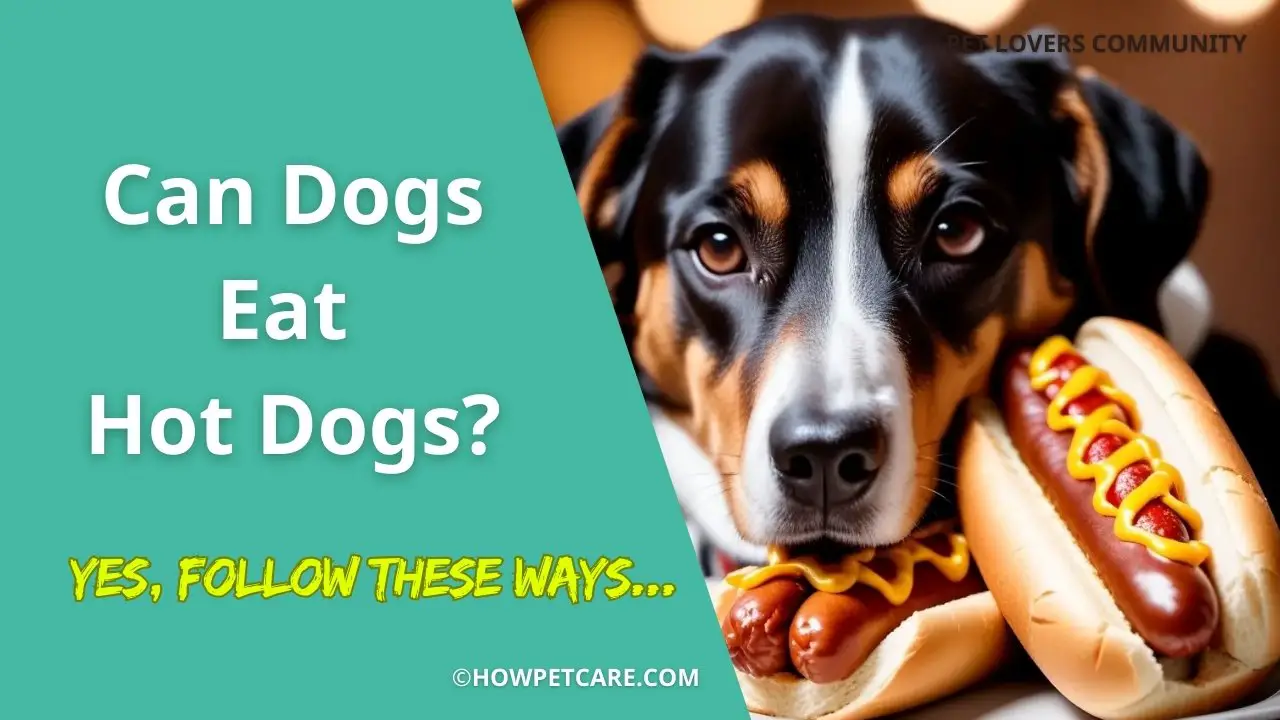 can dogs eat hot dogs