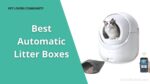 Best Automatic Litter Boxes