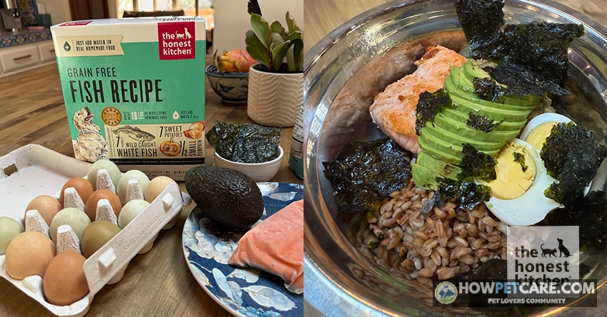 Can Dogs Eat Fish? Safe Types, Portions, and Preparation 1 Healthy dog waiting beside a bowl of cooked salmon answering can dogs eat fish safely