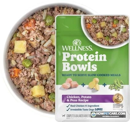Can dogs eat peas safely from a bowl