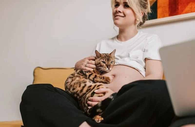 Why Your Cat Is Extra Clingy When You’re Pregnant? 4 Interesting Reasons