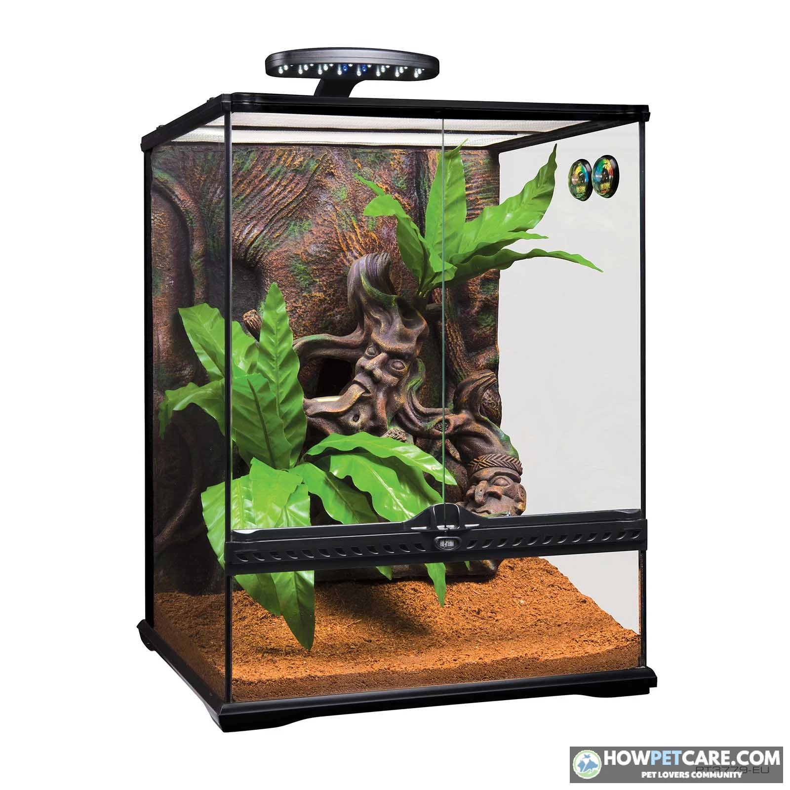 Crested gecko perched on a leafy branch in a planted terrarium
