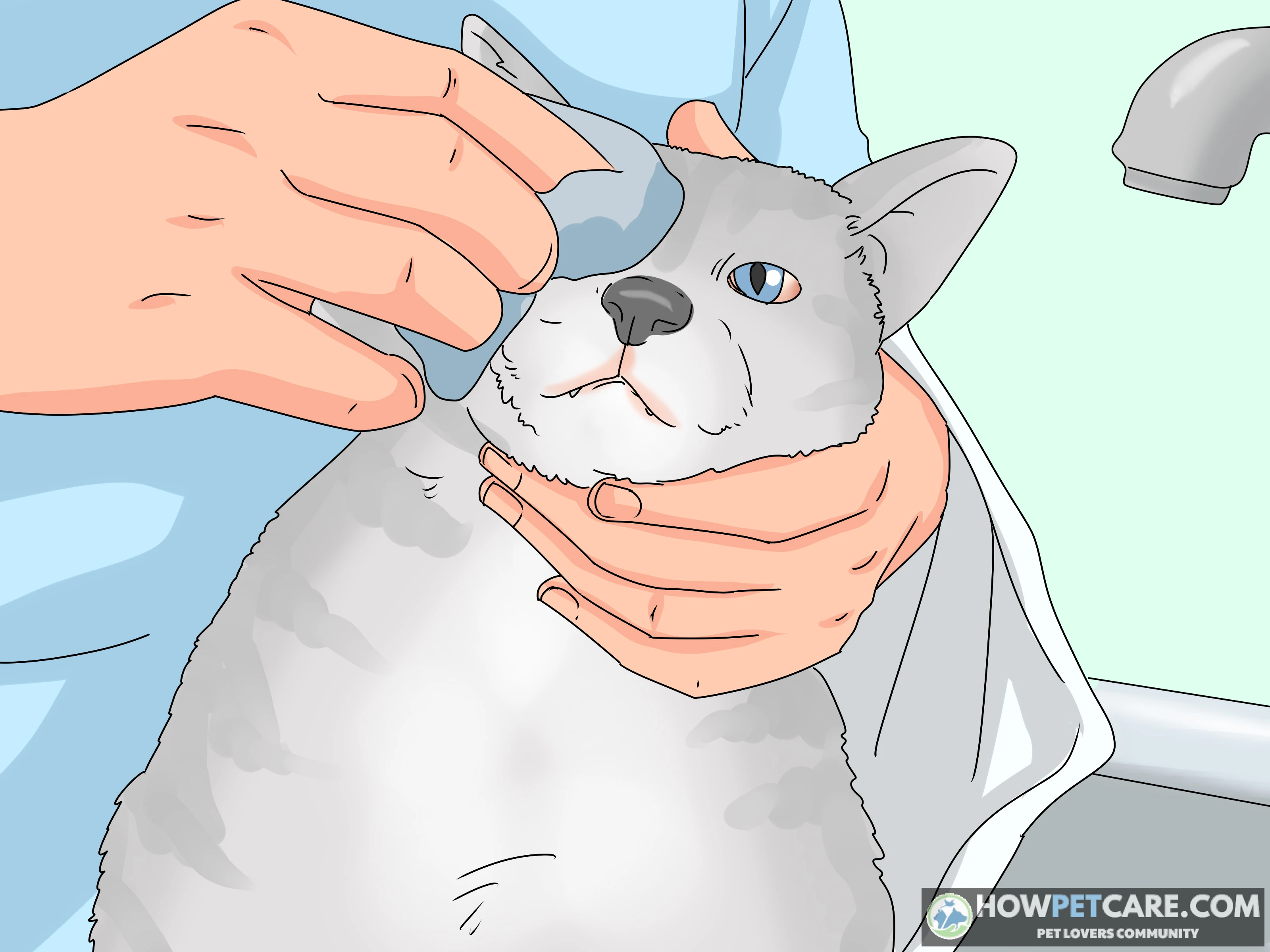 A close-up of a domestic cat with feline herpes showing watery eyes during a veterinary exam