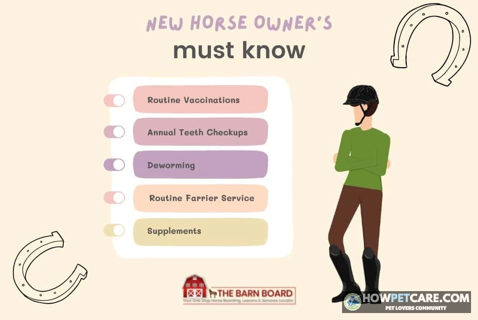 A new owner brushes a bay horse in a sunlit barn aisle showing horse care essentials for new owners