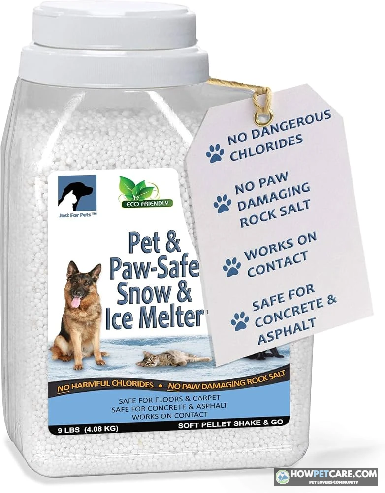 Dog beside a cleared winter walkway treated with pet safe ice melt