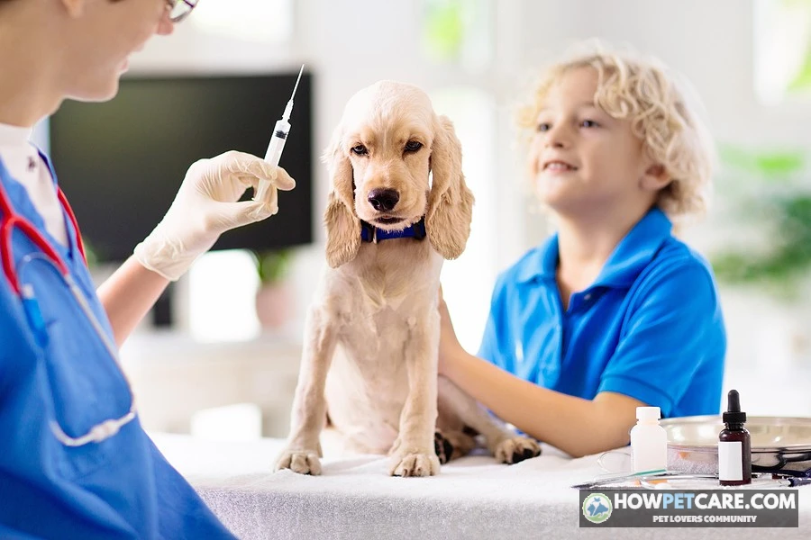 Veterinarian reviewing a puppy vaccination schedule during a clinic visit