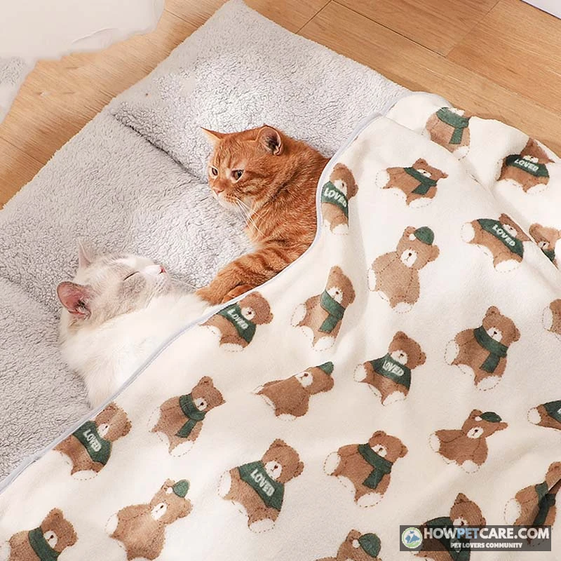Cat making biscuits on a soft blanket